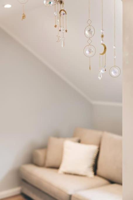 Tip! Toplage In Dresden! Moderne 100 Qm Ferienwohnung Fuer Familien Und Kleine Gruppen Exterior photo